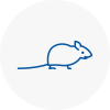 Mice Exterminators In Ub6